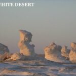 Fantastic Overnight White Desert and Baharya oasis - Transportation and Logistics