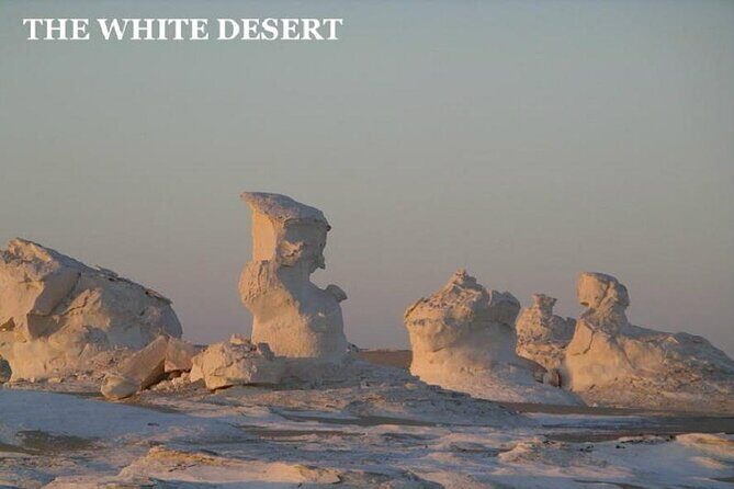 Fantastic Overnight White Desert and Baharya oasis - Transportation and Logistics
