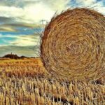 Farm Life Excursion from Fez - Key Points