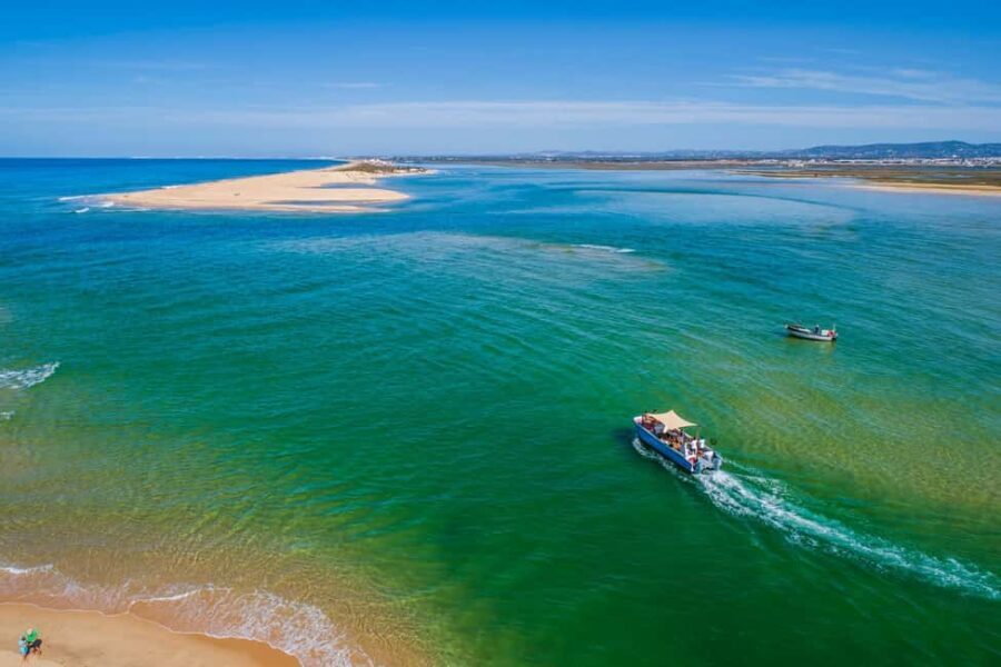 Faro: Half Day Private Charter at The Ria Formosa - Comfort & Convenience