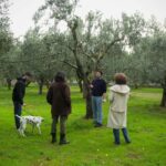 Fasano: Olive Oil Tour With Tasting and Food Pairing - Behind the Scenes: Visiting the Oil Mill