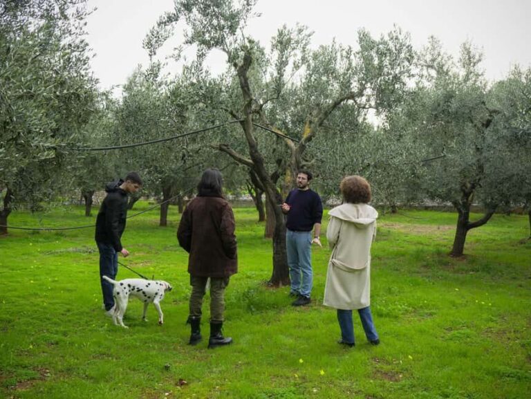 Fasano: Olive Oil Tour With Tasting and Food Pairing - Behind the Scenes: Visiting the Oil Mill