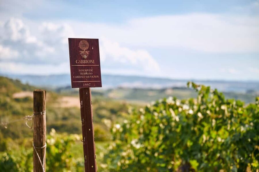 Fattoria La Leccia, Monterspertoli: vineyard walk & tasting - The Scenic Vineyard Trek