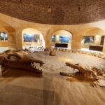 Fayoum Oasis Adventure: Nature, History, and Excitement - Price and Value: Is it Worth It?