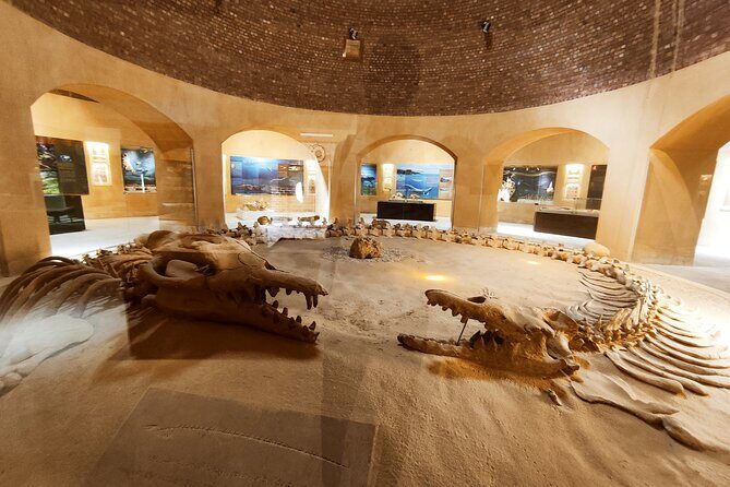 Fayoum Oasis Adventure: Nature, History, and Excitement - Price and Value: Is it Worth It?