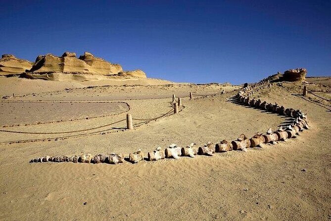 Fayoum Oasis and Waterfalls of Wadi El-Rayan Tour from Cairo - Practical Details and What to Expect