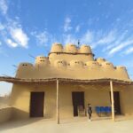 Fayoum Oasis Tour Hidden Gem Wadi El Rayan & Valley of the Whales - Final Thoughts: Who Should Book This Tour?