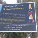 Fayoum Oasis & Wadi Al Rian Day Tour from Cairo - Final Thoughts