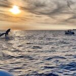 Fazana: dolphin safari and sightseeing in Brijuni at sunset - Why This Tour Offers Great Value