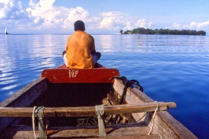 Ferry Tickets to Zanzibar with Transfers. - Who Should Consider This Ferry Service?