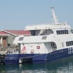 Ferry Tour to Robben Island Museum with One Way Hotel Transfer - Practical Tips for the Tour