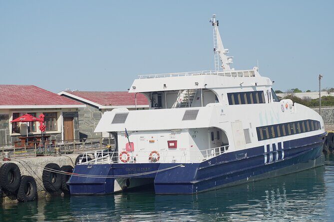 Ferry Tour to Robben Island Museum with One Way Hotel Transfer - Practical Tips for the Tour