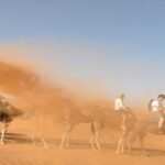 fes 3 days desert tour - Day 2: Into the Heart of the Desert