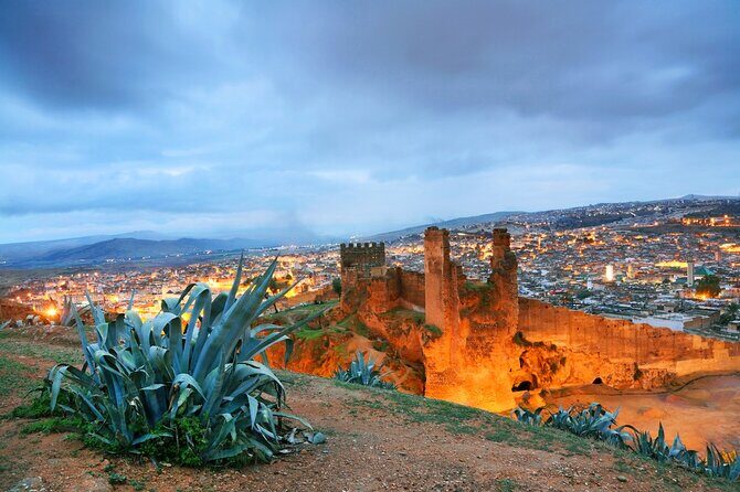 Fes Full Day Private Guided Tour - Who Should Take This Tour?