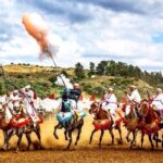 Fes Private full Day Trip from Tangier & back with Transport - Who Is This Tour Best For?