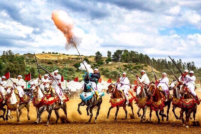 Fes Private full Day Trip from Tangier & back with Transport - Who Is This Tour Best For?