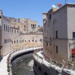 Fes Shared Full-Day Guided Tour - Practical Insights: What You’ll Experience
