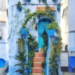 FES TO Chefchaouen Day Trip- luxury Private Tour - Final Thoughts: Who Will Love This Tour?