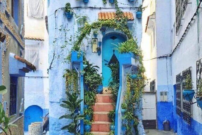 FES TO Chefchaouen Day Trip- luxury Private Tour - Final Thoughts: Who Will Love This Tour?
