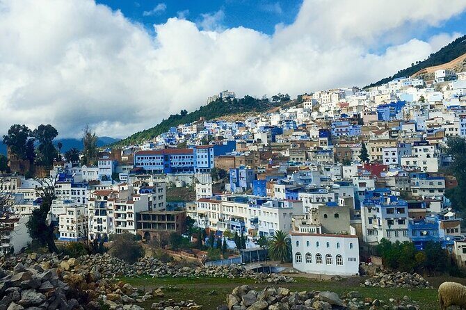 Fes to Chefchaouen day trip - Additional Highlights and Practical Details