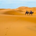 Fes to Fes 2 days desert tour - What Makes This Tour Stand Out?