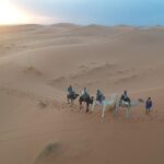 fes to marrakech 2 days desert tour - FAQs
