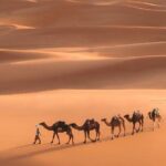 Fes To Marrakech: 3-Day Desert Tour - Authentic Experiences and Hidden Gems