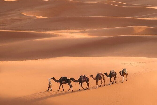 Fes To Marrakech: 3-Day Desert Tour - Authentic Experiences and Hidden Gems