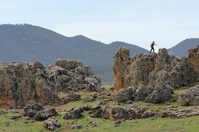 fes to middle atlas day trip - Discovering the Middle Atlas: What the Tour Offers