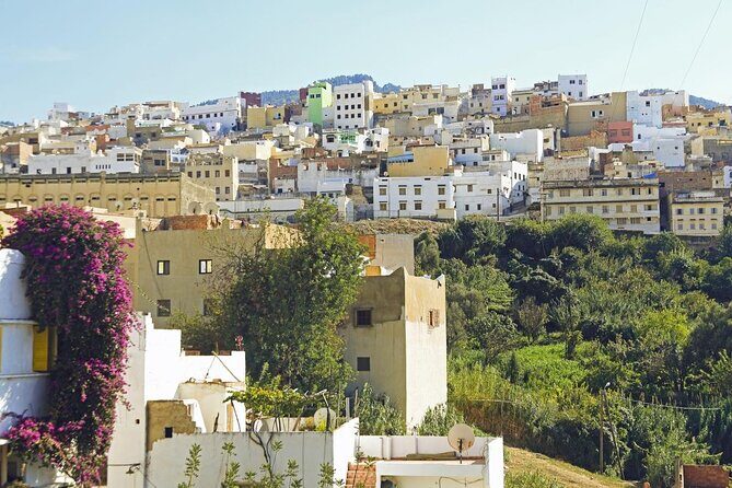Fès to Volubilis, Moulay Idriss and Meknès Private Day Trip - Who Should Consider This Tour?