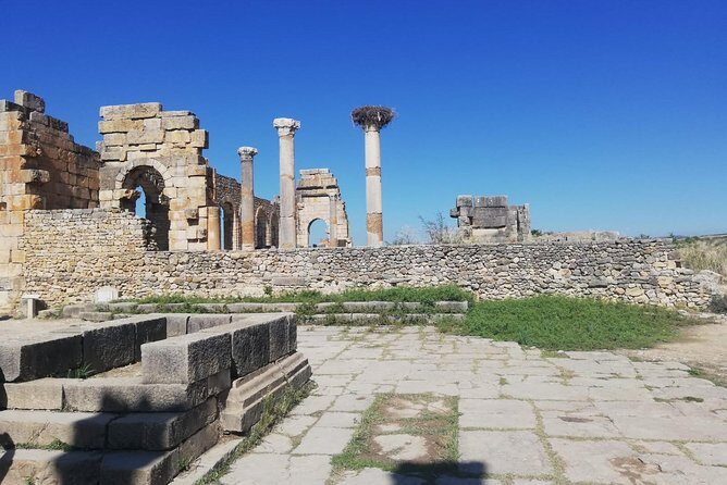 Fes to Volubilis, Moulay Idriss and Meknes Private Day Trip - Who Should Consider This Tour?