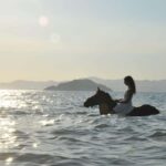 Fethiye Horse Riding in the Sea, Botanical Forest, Beach and Coastal Horseback Riding - Final Thoughts