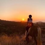 Fethiye Horse Safari Tour, Forest and Hisaronu View - An In-Depth Look at the Fethiye Horse Safari Tour