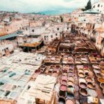 Fez Day Tour - The Transportation and Logistics
