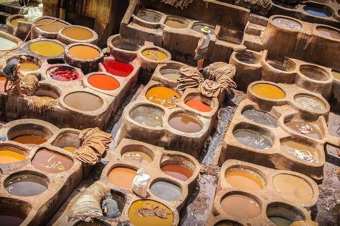Fez day Tour with Local Guide & driver - Who Will Get the Most Out of This Tour?