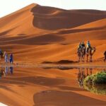 Fez Desert 3-Day Tour with Accommodation - Authentic Experiences and Traveler Insights