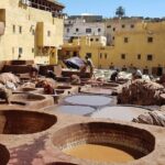 Fez guided Tour with a Local Guide - What Makes This Tour Stand Out?