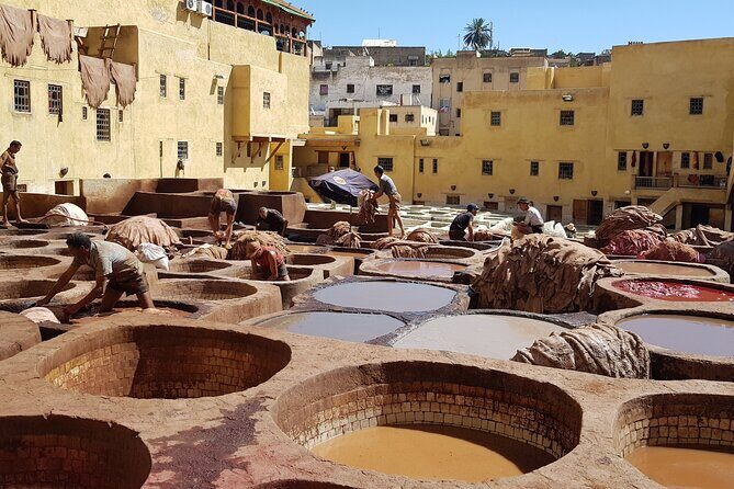 Fez guided Tour with a Local Guide - What Makes This Tour Stand Out?