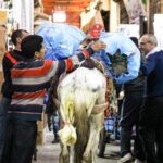 Fez in One Day: Qaraouiyine Mosque, Tanneries, Medersa & Mellah... - The Practicalities: What Does the Tour Include?