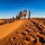 Fez Luxury Private 3-day Desert tour to Marrakech - Transportation, Accommodation, and Value