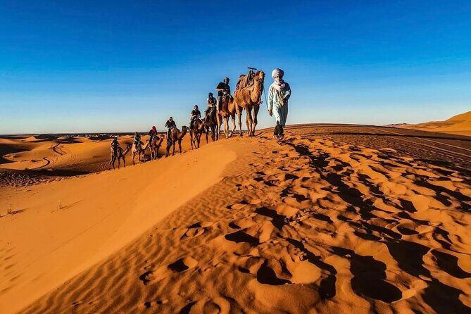 Fez Luxury Private 3-day Desert tour to Marrakech - Transportation, Accommodation, and Value