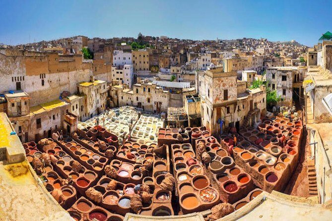 Fez Medina Guided Tour - Why This Tour Offers Excellent Value for Money