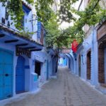 Fez to Chefchaouen two ways transfers go and back (with small group) - Why the Price Offers Good Value