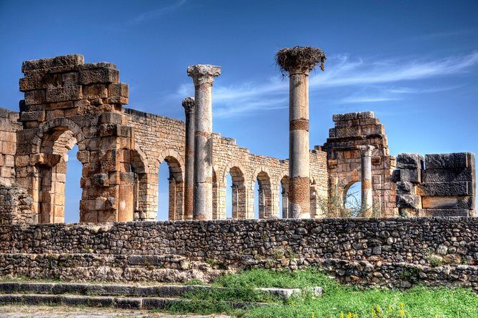 Fez to Meknes,Moulay Idriss & Volubilis Day Trip - Practical Details & Tips
