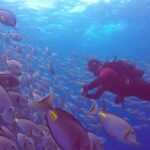 First Diving Experience Try Dive - The Itinerary Breakdown