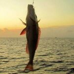 Fishing and Snorkelling by Speedboat Tour - Hurghada - Detailed Breakdown of the Itinerary