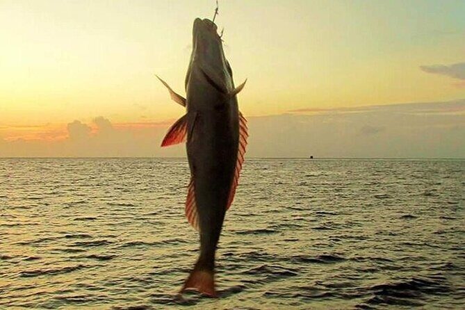 Fishing and Snorkelling by Speedboat Tour - Hurghada - Detailed Breakdown of the Itinerary