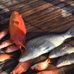 Fishing & Snorkeling Sea Trip by Speed Boat and Transfer-Hurghada - Practical Tips for Your Trip
