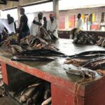 Fishing Village Food Tour & Luwombo Stop - Final Thoughts: Is It Worth It?