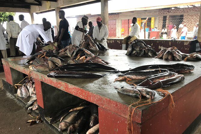 Fishing Village Food Tour & Luwombo Stop - Final Thoughts: Is It Worth It?